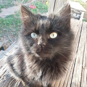 Meet your Posher, Kirishima_